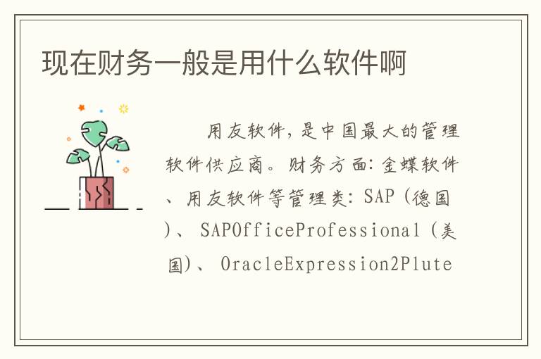 现在财务一般是用什么软件啊