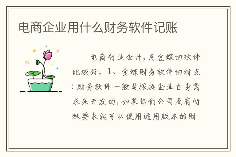 电商企业用什么财务软件记账